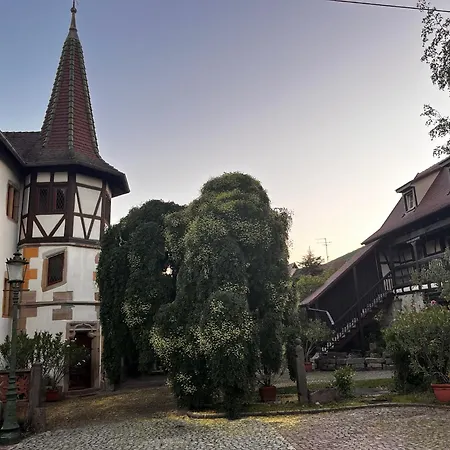La Cour Du Vigneron Semesterbostad Turckheim