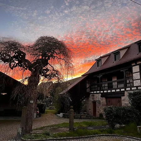 Dom wakacyjny La Cour Du Vigneron