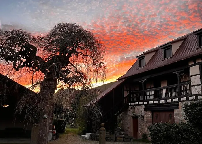 Semesterbostad La Cour Du Vigneron