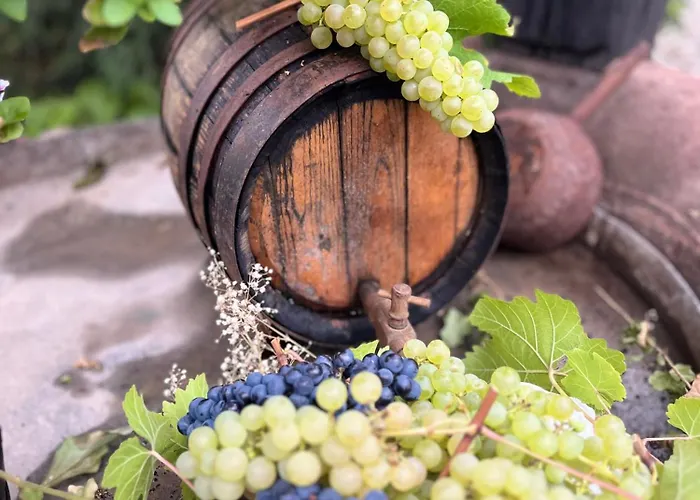 La Cour Du Vigneron *